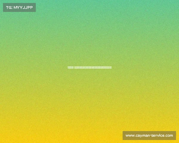 电子竞技 项目《电竞少年集结号：用热血点燃你的游戏梦想征途》