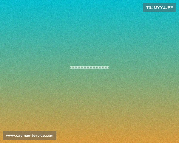 霞浦电子竞技专业队伍宁德霞浦：竞逐荣耀的电竞王牌之师